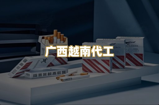 广西越南代工
